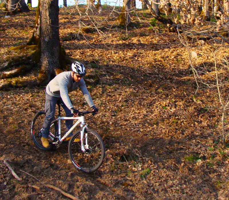 Mountain Bike