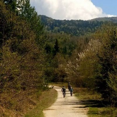 Mountain Bike & E-BIKE TOURS 