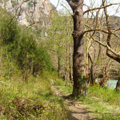 Hikes in Zagorochoria