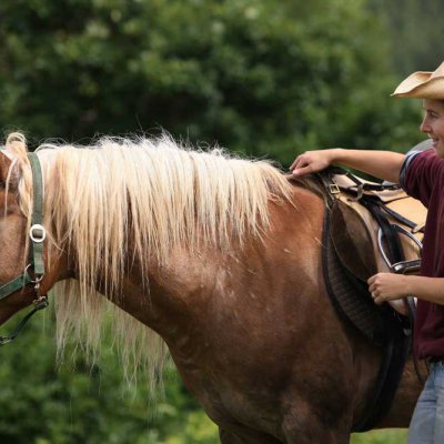 Horse Riding