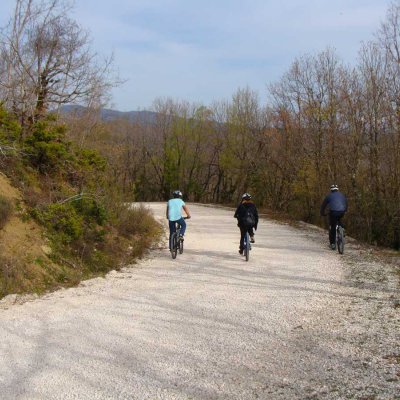 Mountain Bike & E-BIKE TOURS 