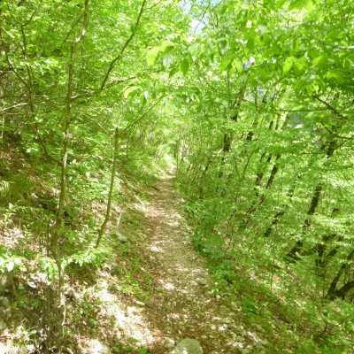 Hikes in Zagorochoria