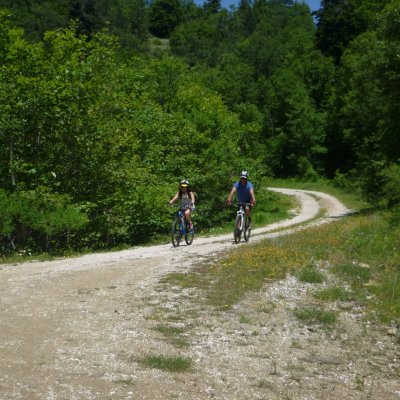 Mountain Bike & E-BIKE TOURS 