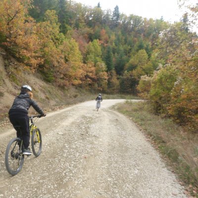 Mountain Bike & E-BIKE TOURS 