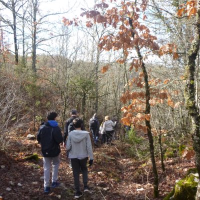 Hikes in Zagorochoria